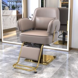 Modern Barber Salon Chair Stool Shop Hair